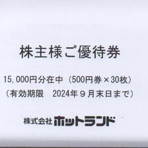 ホットランド 株主優待券 15000円分 有効期限：2024年9月30日 定形外郵便対応可の画像1