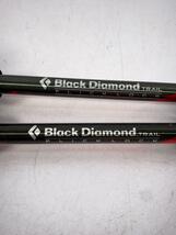 Black Diamond◆スポーツその他/ORN_画像3