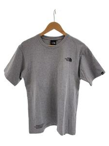 THE NORTH FACE◆S/S TESTED PROVEN TEE_ショートスリーブテステッドプルーブンティー/M/コットン/GRY