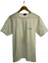 STUSSY◆Tシャツ/M/コットン/ホワイト/無地/19ss/シミ有り/ステューシー_画像1