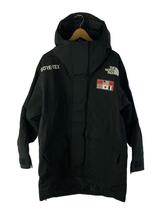 THE NORTH FACE◆TRANS ANTARCTICA PARKA_トランスアンタークティカパーカ/L/ナイロン/BLK_画像1