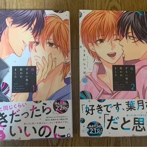 BLコミック うすいしっぽ 2冊セット『続・ずるい男に拾われました 1巻2巻』