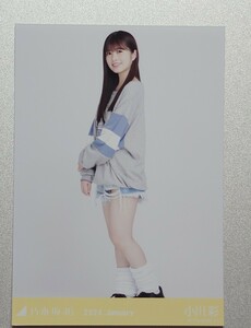 小川 彩『ルーズソックス』(2024.January) 乃木坂46 生写真1枚(ヒキ)