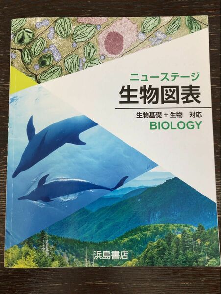 ニューステージ生物図表 浜島書店