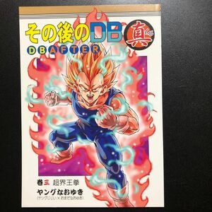 その後のDB真3巻　同人誌