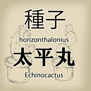 【輸入種子】エキノカクタス・太平丸 Echinocactus horizonthalonius サボテン 多肉植物(種111-26)