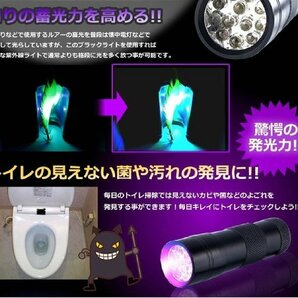 【vaps_5】サーチライト 12LED ブラックライト シルバー 12灯 汚れ 発見 紫外線 宝石鑑定 偽造防止 送込の画像2