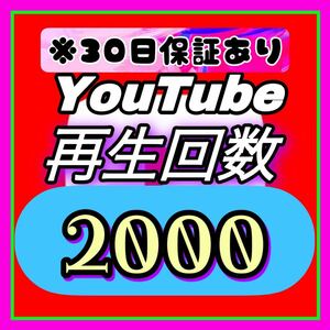 Youtube 再生回数 2000回 【収益化可能】 HP/APP作成します 30日減少保証 操作不要 URLのみでOK / ユーチューブ 再生数 視聴回数