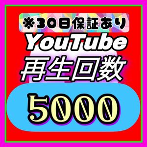 Youtube 再生回数 5000回 【収益化可能】 HP/APP作成します 30日減少保証 操作不要 URLのみでOK / ユーチューブ 再生数 視聴回数