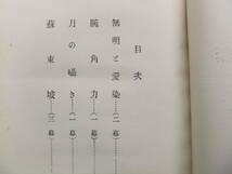 谷崎潤一郎　「無明と愛染」　初版本・大正１３年・プラトン社・函_画像4