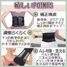 腰痛ベルト Lサイズ ガードナーベルト類似品 【両サイドから引っ張るタイプ】_画像3