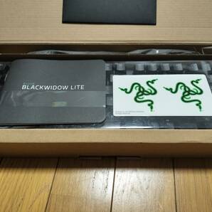 Razer BlackWidow Lite メカニカルキーボード 静音 オレンジ軸 テンキーレス 英語US配列の画像7