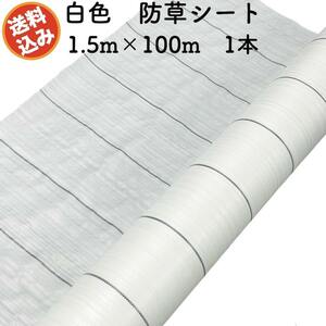 防草シート 白色（サンホワイト） 1.5m×100m 1本 抗菌剤 UV剤入り 反射 除草シート 雑草対策 太陽光 野菜 畑 農業