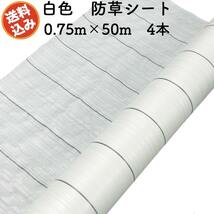 防草シート 白色（サンホワイト） 0.75m×50m 4本セット 抗菌剤 UV剤入り 反射 除草シート 太陽光 野菜 畑 農業_画像1