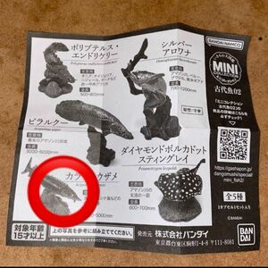 古代魚02 ガチャガチャ　ミニコレクション　いきもの大図鑑　カラチョウザメ