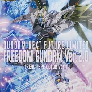 GUNDAM NEXT FUTURE限定 MG 1/100 フリーダムガンダム Ver.2.0(リアルタイプカラー Ver.)