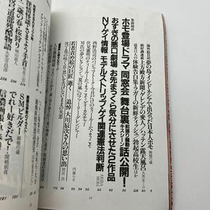 ゲイ雑誌 薔薇族 No.255 1994年4月 ゲイコミック 内藤ルネ 城山直人 御楯巧蔵 LGBT ホモ 同性愛 伊藤文学の画像5