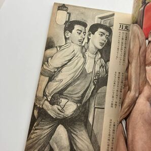 ゲイ雑誌 さぶ 1985年3月 No.121 ゲイコミック 麻生寛 林月光 三島剛 LGBT ホモ 同性愛 伊藤文学の画像5