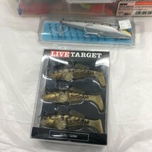 釣り具 ライブ ターゲット LIVETARGET ルアー THIRTY FOUR アジング 他 おまとめ 【CBBB7032】_画像6