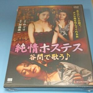 y 61 純情ホステス 谷間で歌う　めぐり　春日野結衣　酒井あずさ　R15-作品　新品未開封