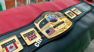 Высококачественный NWA Domed Globe World Heavyweight 6mm Zinc Pro -wrestling Champion Belt Ripica