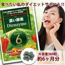 新品正規品 未使用 工場直送 １円スタート 濃い酵素Dienzyme 350種類以上の野菜酵素に話題のスーパー酵素「ダイジェザイム」贅沢配合。_画像2