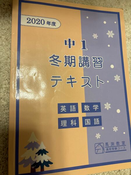 馬渕　冬季講習　テキスト英数国理