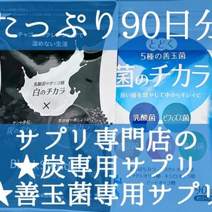 白と黒のチカラ炭でごっそり5つの善玉菌で菌で活性化燃やす！ブラックジンジャーダイエットサプリメント