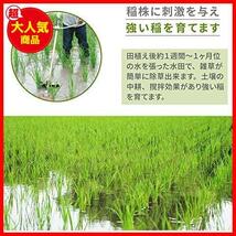 ★単品★ 三陽金属 日本製 刈払機用 水草カッター 水田除草専用 エルバ 除草 草刈り_画像6