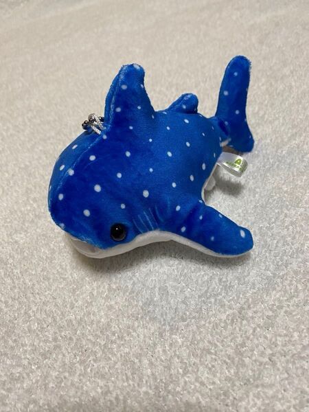 【未使用】ジンベイザメ ジンベエザメ マスコットキーホルダー