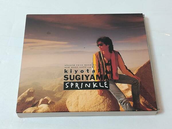 CD　SPRINKLE　　杉山清貴