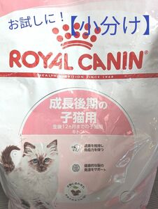 お試しに！【小分け】ロイヤルカナン キトン 300g（成長後期4ヶ月から12ヶ月の子猫用）