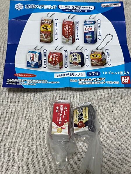 雪印メグミルク　ミニチュアチャーム　パック飲料シリーズ　 2種セット ガシャポン バンダイ