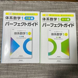 体系数学1 パーフェクトガイド　代数編　幾何編　数研出版　2冊