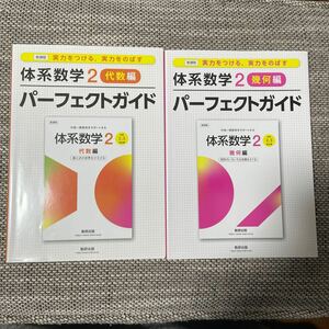 体系数学2 パーフェクトガイド　代数編　幾何編　数研出版　2冊