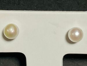 あこや真珠ピアス WG14K本真珠パール 可愛らしいピアス照り艶抜群径3.7mm