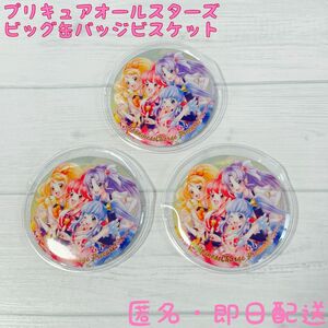 プリキュア★ビッグ缶バッジ★ ハピネスチャージプリキュア！★3個セット