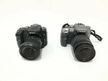 ☆ デジタルカメラ まとめ 2 ☆ FUJIFILM FINEPIX S + SONY α ×2 + Canon EOS-1D 他カメラ2台 フジフィルム ソニー キャノン_画像2