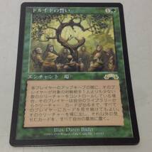 ★MAGIC THE GATHERING/マジック・ザ・ギャザリング/MTG/ドルイドの誓い/Oath of Druids/日本語/ゲーム/カード/中古/8-6305_画像1