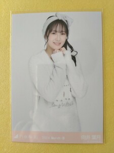 乃木坂46 向井葉月 会場限定生写真 2024.March-Ⅲ アニマルルームウェア チュウ