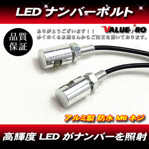 [郵送対応] ナンバー灯 LED ナンバーボルト ボルト型 バイク 2個セット ナンバープレート アルミポリッシュ