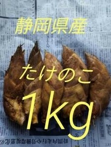 静岡県産 初物(令和6年3月)たけのこ　Sサイズ 5個　1000g