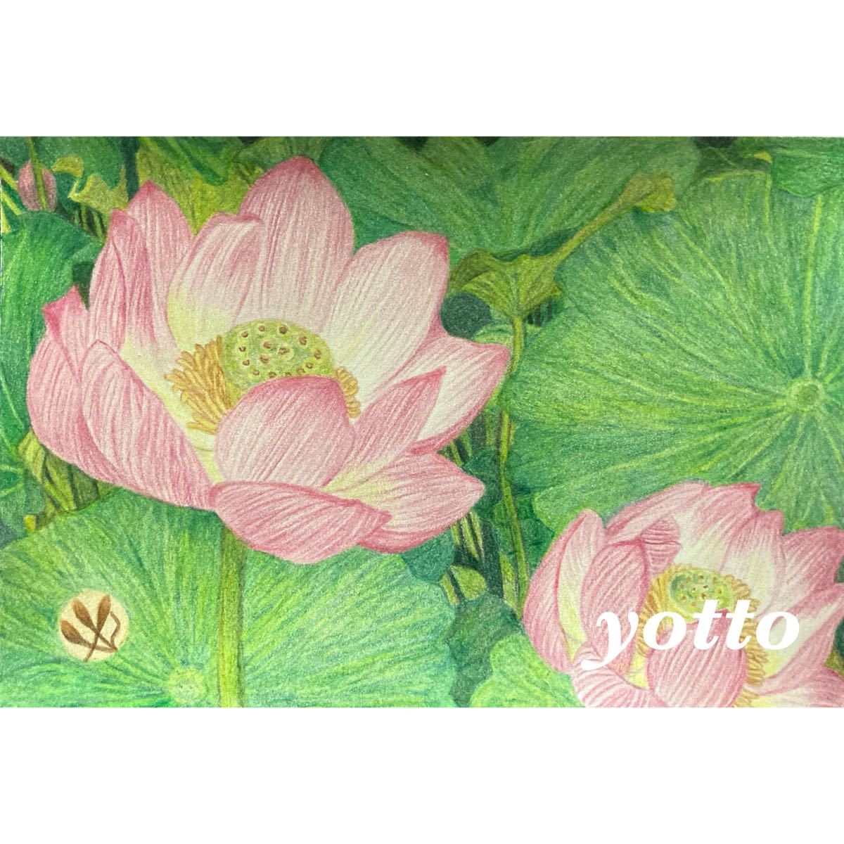 Colored pencil drawing Aya《12》~Lotus Flower~ Postcard size/with frame◇◆Hand-drawn◇Original drawing◆Flower◇◆yotto, artwork, painting, pencil drawing, charcoal drawing