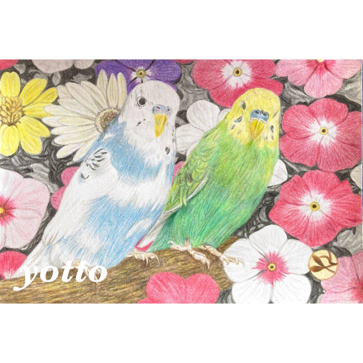 色鉛筆画｢ インコと花手水 ｣ポストカードサイズ･額付き◇◆手描き◇原画◆インコ◇◆yotto, 美術品, 絵画, 鉛筆画, 木炭画