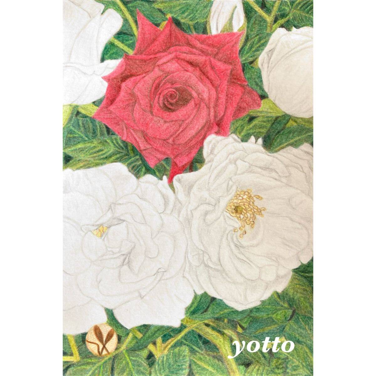Colored pencil drawing Aya《13》~Rose~ Postcard size/with frame◇◆Hand-drawn◇Original drawing◆Flower◇◆yotto, artwork, painting, pencil drawing, charcoal drawing