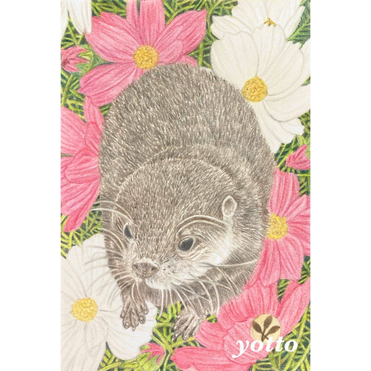 Colored pencil drawing Little-clawed otter Postcard size, with frame◇◆Hand-drawn◇Original drawing◆Little-clawed otter◇◆yotto, artwork, painting, pencil drawing, charcoal drawing