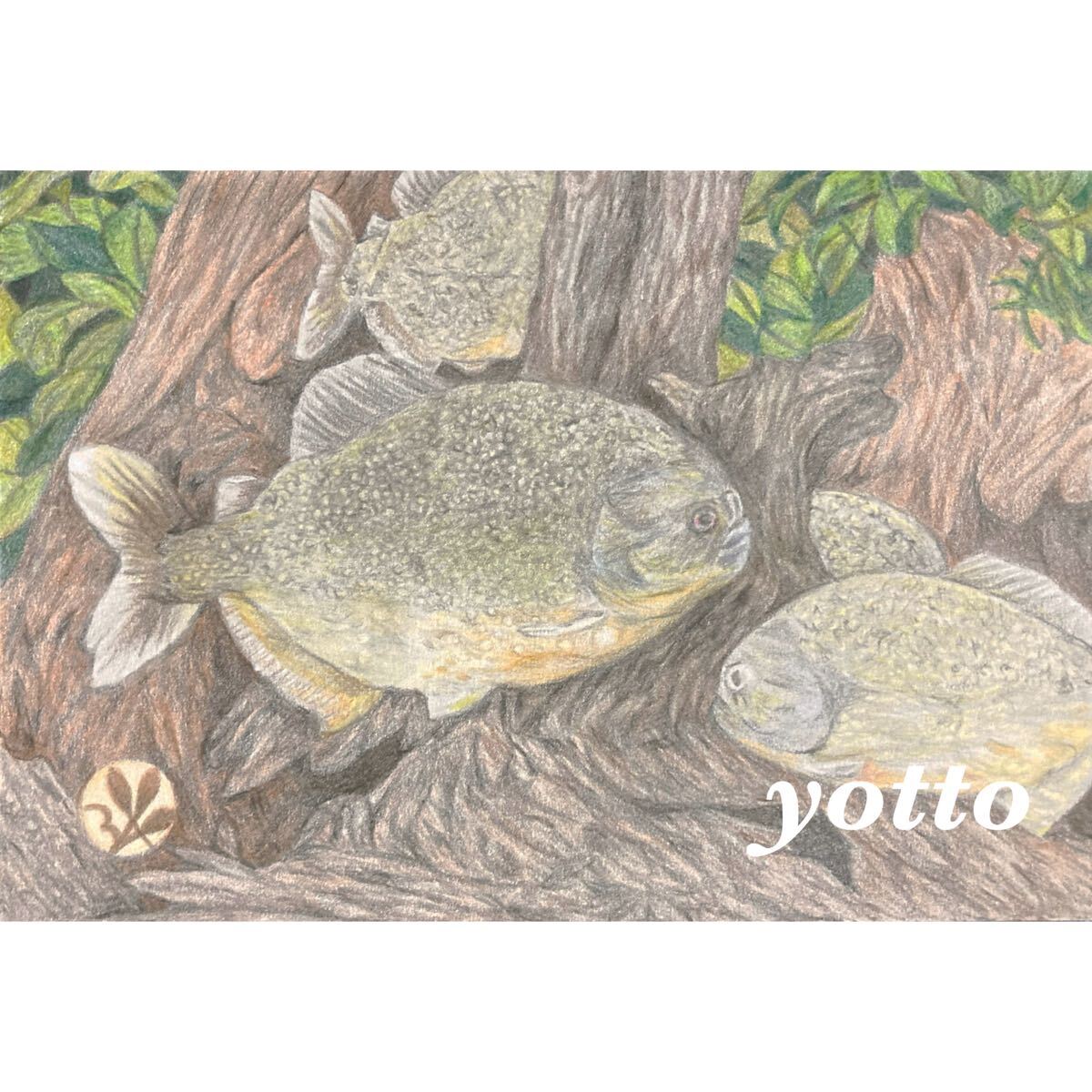 色鉛筆画｢ ピラニア ｣ポストカードサイズ･額付き◇◆手描き◇原画◆魚◇◆yotto, 美術品, 絵画, 鉛筆画, 木炭画