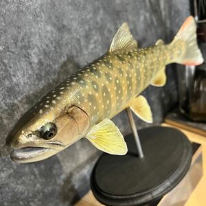 【即決】イワナ フィギュア 27cm ハンドメイド 手作り fish craft REAL 魚 レプリカ 精巧 フィッシュ クラフト リアル フィッシュ