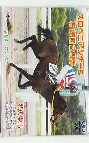 特3-w106 競馬 スロベニアシチー クオカード