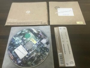 memorandum CD やなぎなぎ　アルバム　即決　送料200円　309